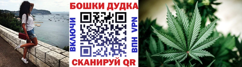 Купить где  Трёхгорный  Шишки марихуана Amnesia 